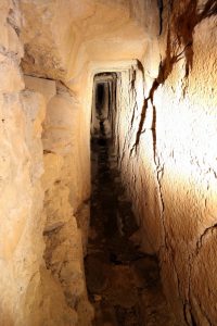 avcd1259e6b66f3c16935